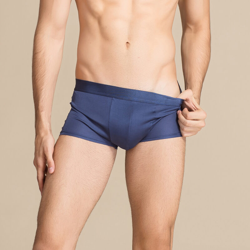 22 Momme Silk Boxers Underwear For Men 100% Pure Silk Short Pants Silk –  avasilk