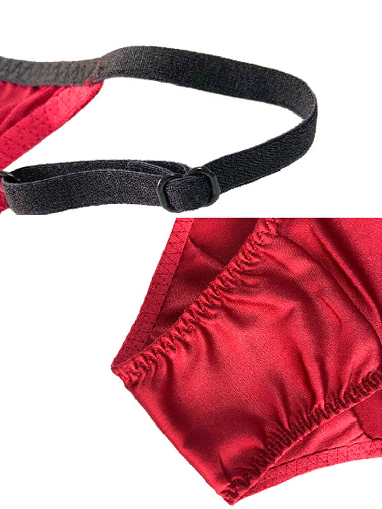 Sexy Strappy Silk Hipster Briefs Underwear