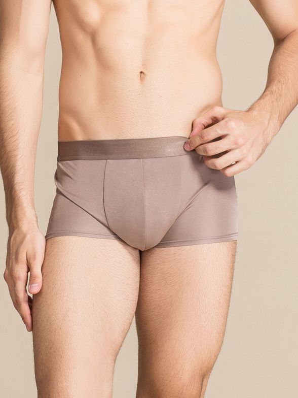 Mens Mid Rise Silk Briefs Underwear Breathable Comfy Knitted Silk